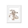 Picture of Angelica Plant _GroupedProduct_Rectangle_Portrait_Framed_Matted_
