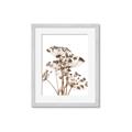 Picture of Angelica Plant _GroupedProduct_Rectangle_Portrait_Framed_Matted_