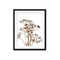 Picture of Angelica Plant _GroupedProduct_Rectangle_Portrait_Framed_Matted_