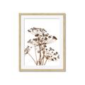 Picture of Angelica Plant _GroupedProduct_Rectangle_Portrait_Framed_Matted_
