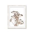 Picture of Angelica Plant _GroupedProduct_Rectangle_Portrait_Framed_Matted_