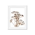 Picture of Angelica Plant _GroupedProduct_Rectangle_Portrait_Framed_Matted_