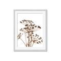 Picture of Angelica Plant _GroupedProduct_Rectangle_Portrait_Framed_Matted_