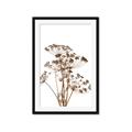 Picture of Angelica Plant _GroupedProduct_Rectangle_Portrait_Framed_Matted_