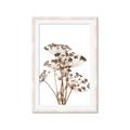Picture of Angelica Plant _GroupedProduct_Rectangle_Portrait_Framed_Matted_
