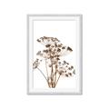 Picture of Angelica Plant _GroupedProduct_Rectangle_Portrait_Framed_Matted_