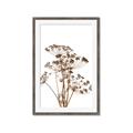 Picture of Angelica Plant _GroupedProduct_Rectangle_Portrait_Framed_Matted_