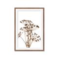 Picture of Angelica Plant _GroupedProduct_Rectangle_Portrait_Framed_Matted_