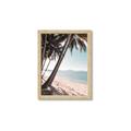 Picture of Beach Palms  _GroupedProduct_Rectangle_Portrait_Photography _GroupedProduct_Rectangle_Portrait_Framed_Matted_