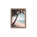 Picture of Beach Palms  _GroupedProduct_Rectangle_Portrait_Photography _GroupedProduct_Rectangle_Portrait_Framed_Matted_