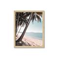 Picture of Beach Palms  _GroupedProduct_Rectangle_Portrait_Photography _GroupedProduct_Rectangle_Portrait_Framed_Matted_