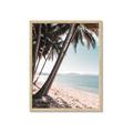 Picture of Beach Palms  _GroupedProduct_Rectangle_Portrait_Photography _GroupedProduct_Rectangle_Portrait_Framed_Matted_