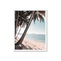 Picture of Beach Palms  _GroupedProduct_Rectangle_Portrait_Photography _GroupedProduct_Rectangle_Portrait_Framed_Matted_