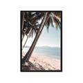Picture of Beach Palms  _GroupedProduct_Rectangle_Portrait_Photography _GroupedProduct_Rectangle_Portrait_Framed_Matted_