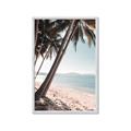 Picture of Beach Palms  _GroupedProduct_Rectangle_Portrait_Photography _GroupedProduct_Rectangle_Portrait_Framed_Matted_