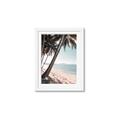 Picture of Beach Palms  _GroupedProduct_Rectangle_Portrait_Photography _GroupedProduct_Rectangle_Portrait_Framed_Matted_