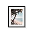 Picture of Beach Palms  _GroupedProduct_Rectangle_Portrait_Photography _GroupedProduct_Rectangle_Portrait_Framed_Matted_