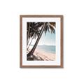 Picture of Beach Palms  _GroupedProduct_Rectangle_Portrait_Photography _GroupedProduct_Rectangle_Portrait_Framed_Matted_