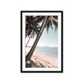 Picture of Beach Palms  _GroupedProduct_Rectangle_Portrait_Photography _GroupedProduct_Rectangle_Portrait_Framed_Matted_