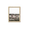 Picture of Bicycle Basket _GroupedProduct_Rectangle_Portrait_Photography _GroupedProduct_Rectangle_Portrait_Framed_Matted_