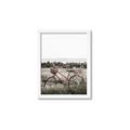 Picture of Bicycle Basket _GroupedProduct_Rectangle_Portrait_Photography _GroupedProduct_Rectangle_Portrait_Framed_Matted_