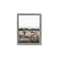 Picture of Bicycle Basket _GroupedProduct_Rectangle_Portrait_Photography _GroupedProduct_Rectangle_Portrait_Framed_Matted_