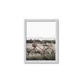 Picture of Bicycle Basket _GroupedProduct_Rectangle_Portrait_Photography _GroupedProduct_Rectangle_Portrait_Framed_Matted_