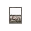 Picture of Bicycle Basket _GroupedProduct_Rectangle_Portrait_Photography _GroupedProduct_Rectangle_Portrait_Framed_Matted_