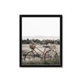 Picture of Bicycle Basket _GroupedProduct_Rectangle_Portrait_Photography _GroupedProduct_Rectangle_Portrait_Framed_Matted_