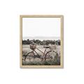 Picture of Bicycle Basket _GroupedProduct_Rectangle_Portrait_Photography _GroupedProduct_Rectangle_Portrait_Framed_Matted_