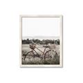Picture of Bicycle Basket _GroupedProduct_Rectangle_Portrait_Photography _GroupedProduct_Rectangle_Portrait_Framed_Matted_