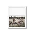 Picture of Bicycle Basket _GroupedProduct_Rectangle_Portrait_Photography _GroupedProduct_Rectangle_Portrait_Framed_Matted_