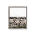 Picture of Bicycle Basket _GroupedProduct_Rectangle_Portrait_Photography _GroupedProduct_Rectangle_Portrait_Framed_Matted_