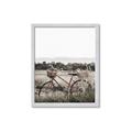 Picture of Bicycle Basket _GroupedProduct_Rectangle_Portrait_Photography _GroupedProduct_Rectangle_Portrait_Framed_Matted_