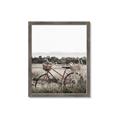 Picture of Bicycle Basket _GroupedProduct_Rectangle_Portrait_Photography _GroupedProduct_Rectangle_Portrait_Framed_Matted_