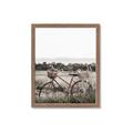 Picture of Bicycle Basket _GroupedProduct_Rectangle_Portrait_Photography _GroupedProduct_Rectangle_Portrait_Framed_Matted_