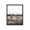 Picture of Bicycle Basket _GroupedProduct_Rectangle_Portrait_Photography _GroupedProduct_Rectangle_Portrait_Framed_Matted_