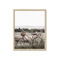 Picture of Bicycle Basket _GroupedProduct_Rectangle_Portrait_Photography _GroupedProduct_Rectangle_Portrait_Framed_Matted_