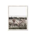 Picture of Bicycle Basket _GroupedProduct_Rectangle_Portrait_Photography _GroupedProduct_Rectangle_Portrait_Framed_Matted_