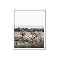Picture of Bicycle Basket _GroupedProduct_Rectangle_Portrait_Photography _GroupedProduct_Rectangle_Portrait_Framed_Matted_