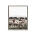 Picture of Bicycle Basket _GroupedProduct_Rectangle_Portrait_Photography _GroupedProduct_Rectangle_Portrait_Framed_Matted_