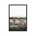 Picture of Bicycle Basket _GroupedProduct_Rectangle_Portrait_Photography _GroupedProduct_Rectangle_Portrait_Framed_Matted_