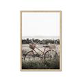 Picture of Bicycle Basket _GroupedProduct_Rectangle_Portrait_Photography _GroupedProduct_Rectangle_Portrait_Framed_Matted_