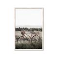 Picture of Bicycle Basket _GroupedProduct_Rectangle_Portrait_Photography _GroupedProduct_Rectangle_Portrait_Framed_Matted_