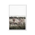 Picture of Bicycle Basket _GroupedProduct_Rectangle_Portrait_Photography _GroupedProduct_Rectangle_Portrait_Framed_Matted_