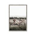 Picture of Bicycle Basket _GroupedProduct_Rectangle_Portrait_Photography _GroupedProduct_Rectangle_Portrait_Framed_Matted_