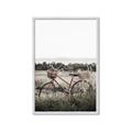 Picture of Bicycle Basket _GroupedProduct_Rectangle_Portrait_Photography _GroupedProduct_Rectangle_Portrait_Framed_Matted_