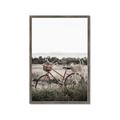 Picture of Bicycle Basket _GroupedProduct_Rectangle_Portrait_Photography _GroupedProduct_Rectangle_Portrait_Framed_Matted_