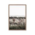 Picture of Bicycle Basket _GroupedProduct_Rectangle_Portrait_Photography _GroupedProduct_Rectangle_Portrait_Framed_Matted_