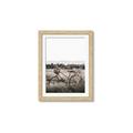 Picture of Bicycle Basket _GroupedProduct_Rectangle_Portrait_Photography _GroupedProduct_Rectangle_Portrait_Framed_Matted_